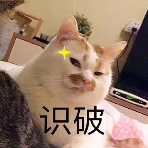 后续：最大的雷是国人正在裸奔九游会J9某度副总裁女儿网暴(图3)